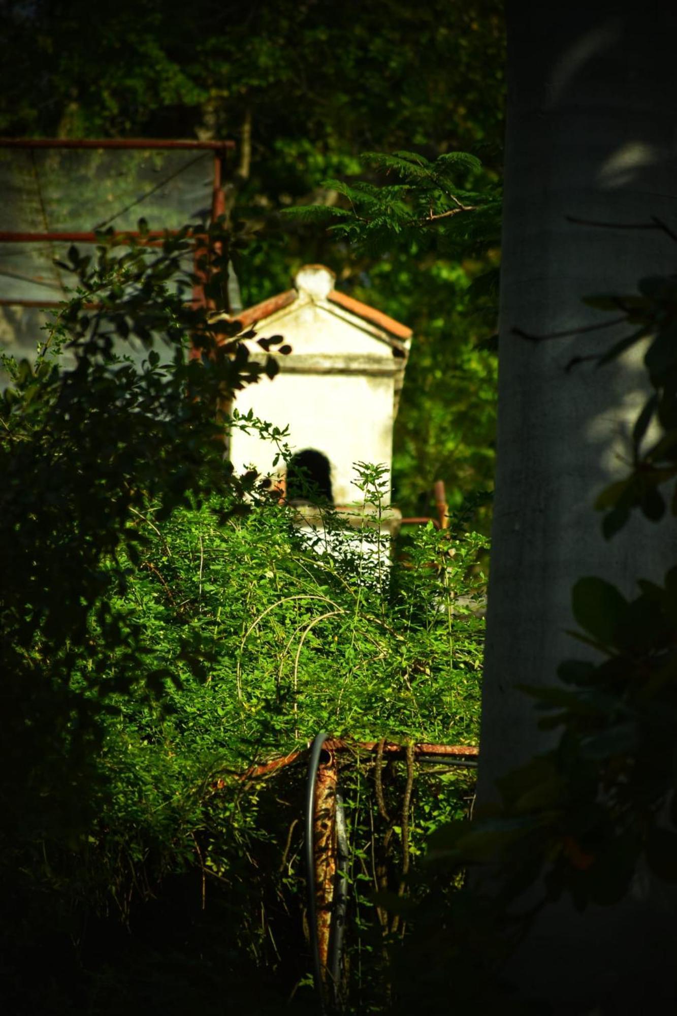 Hotel Nudista - Luz De Luna Nude Tehuixtla Exterior foto